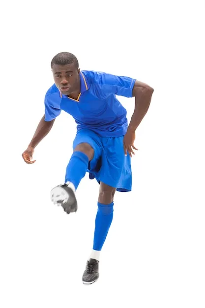 平博体育 APP 界面展示